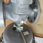 Écoulement élevé Rate Fisher Gas Regulator 1098-EGR pour le service corrosif de l'oxygène d'environnements