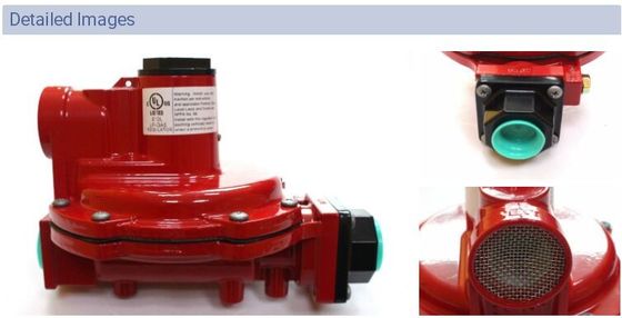 Fisher R622H-DGJ 250 livres par pouce carré de Fisher de différence de pression de régulateur de chaîne facultative de ressort